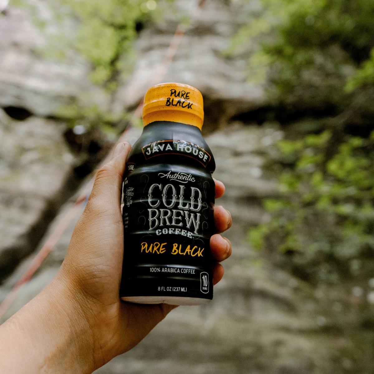 Cold Brew 8oz Bottles - Pure Black
